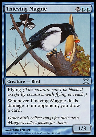 【ENG】《竊鵲/Thieving Magpie》[第十版]