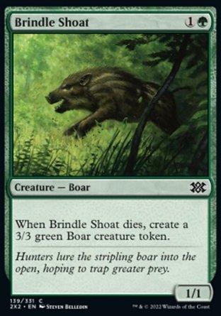 【ENG】《斑小豬/Brindle Shoat》[雙星大師2022]