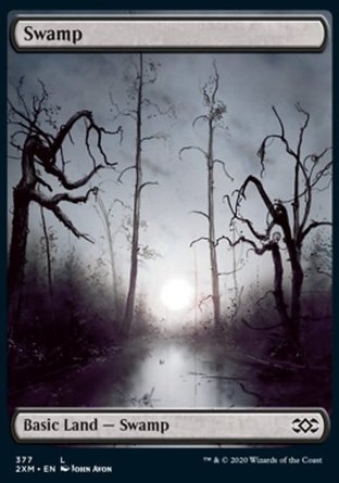 【ENG】《沼澤/Swamp》[雙星大師]