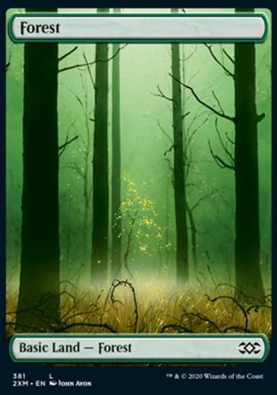 【ENG】《樹林/Forest》[雙星大師]