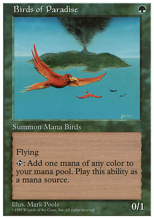 【JPN】《天堂鳥/Birds of Paradise》[第五版]