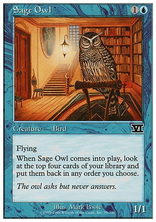【ENG】《睿智的貓頭鷹/Sage Owl》[古典第六版]