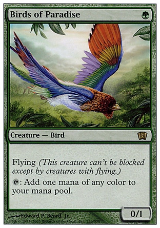 【ENG】《天堂鳥/Birds of Paradise》[第八版]