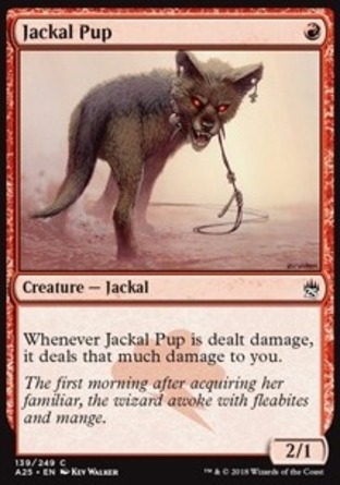 【JPN】《小狐狼/Jackal Pup》[25大師]