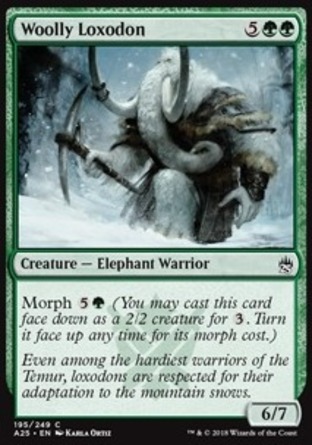 【JPN】《粗茸象族/Woolly Loxodon》[25大師]