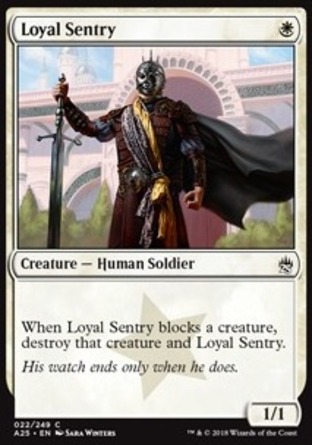 【JPN】《忠誠哨兵/Loyal Sentry》[25大師]