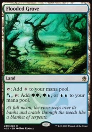 【JPN】《潮沒樹叢/Flooded Grove》[25大師]
