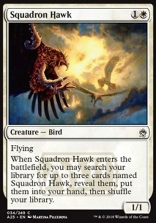 【JPN】《鷹中隊/Squadron Hawk》[25大師]