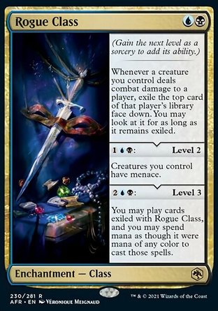 【ENG】《職業：盜賊/Rogue Class》[被遺忘國度戰記]