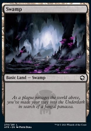 【ENG】《沼澤/Swamp》[被遺忘國度戰記]