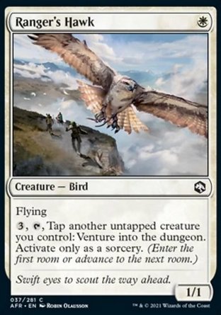 【ENG】《遊俠之鷹/Ranger's Hawk》[被遺忘國度戰記]