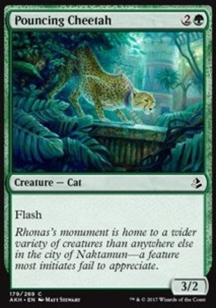 【JPN】《撲擊捷豹/Pouncing Cheetah》[阿芒凱]