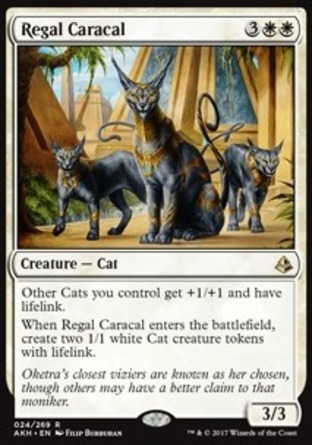 【JPN】《威嚴獰貓/Regal Caracal》[阿芒凱]