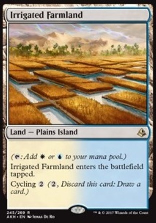 【JPN】《漫灌農地/Irrigated Farmland》[阿芒凱]