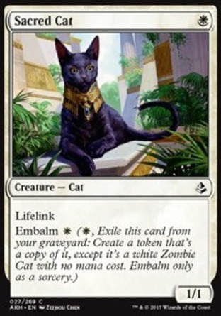 【JPN】《聖貓/Sacred Cat》[阿芒凱]