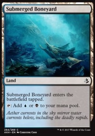 【JPN】《水下聚骨場/Submerged Boneyard》[阿芒凱]