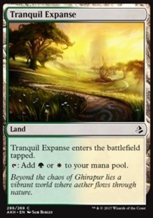 【JPN】《靜謐曠野/Tranquil Expanse》[阿芒凱]