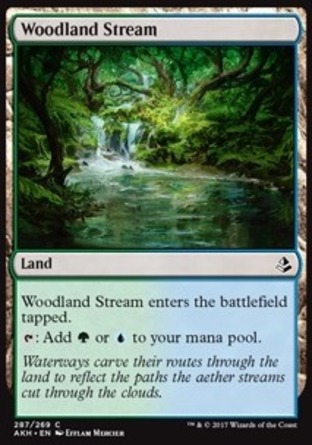 【JPN】《林地溪流/Woodland Stream》[阿芒凱]