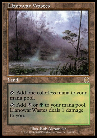【CHT】 ☆Foil☆ 《羅堰荒野/Llanowar Wastes》[啟示錄]〔NM〕
