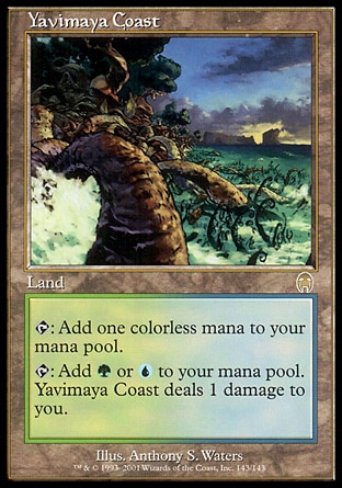 【CHT】 ☆Foil☆ 《亞維馬雅海岸/Yavimaya Coast》[啟示錄]〔MP〕