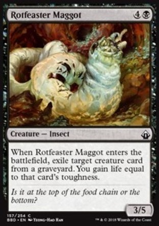 【ENG】《餮腐蛆/Rotfeaster Maggot》[火線齊心]