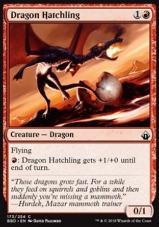 【ENG】《龍幼雛/Dragon Hatchling》[火線齊心]
