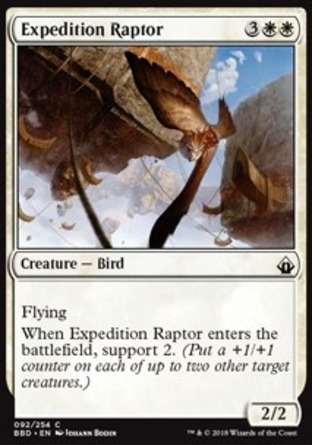 【ENG】《探險隊獵鳥/Expedition Raptor》[火線齊心]