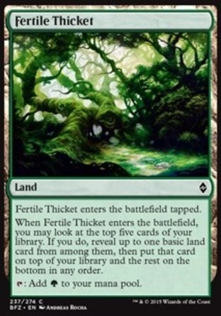 【JPN】《茂密灌叢/Fertile Thicket》[再戰贊迪卡]