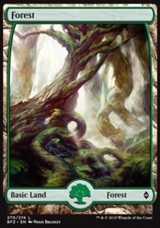 【JPN】《樹林/Forest》[再戰贊迪卡]