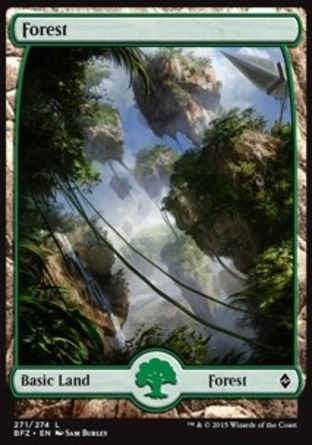 【JPN】《樹林/Forest》[再戰贊迪卡]