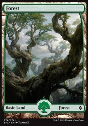 【JPN】《樹林/Forest》[再戰贊迪卡]