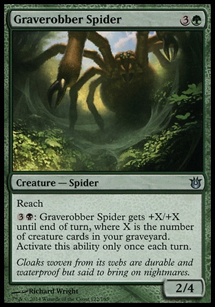 【JPN】《盜墓蜘蛛/Graverobber Spider》[天神創生]