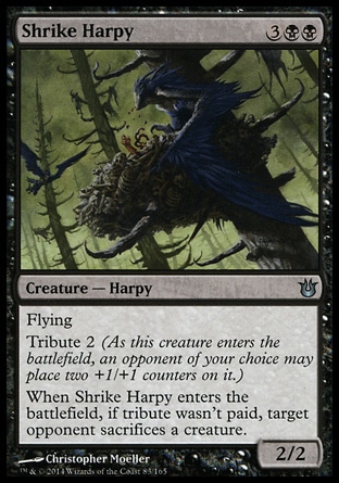 【JPN】《鉤嘴哈痞/Shrike Harpy》[天神創生]
