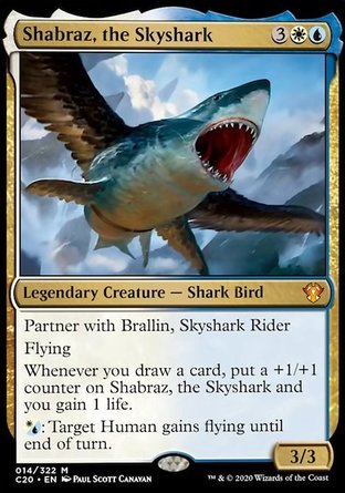 【JPN】《＜飛天鯊魚剎霸＞/Shabraz, the Skyshark》[指揮官2020禮盒]