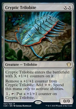 【JPN】《＜隱密三葉蟲＞/Cryptic Trilobite》[指揮官2020禮盒]