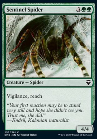 【ENG】《哨兵蜘蛛/Sentinel Spider》[指揮官傳奇]