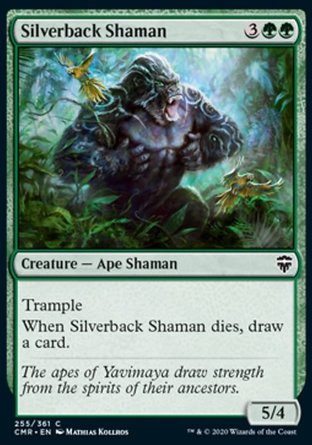【ENG】《銀背猿祭師/Silverback Shaman》[指揮官傳奇]