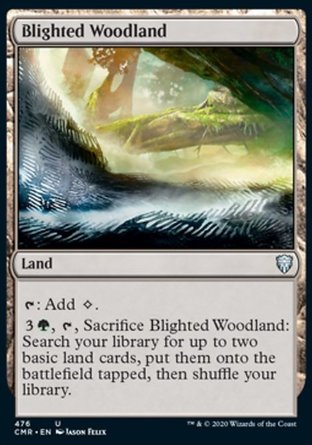 【ENG】《枯萎林地/Blighted Woodland》[指揮官傳奇]