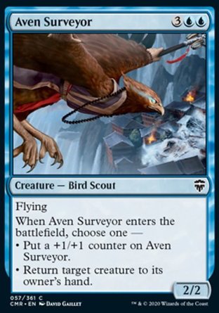 【ENG】《勘探艾文/Aven Surveyor》[指揮官傳奇]