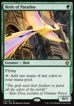 【JPN】《天堂鳥/Birds of Paradise》[詭局：王權爭霸]〔SP〕