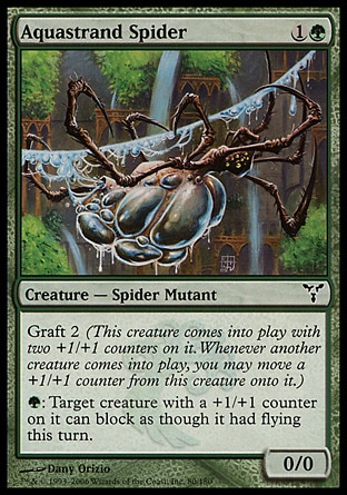 【JPN】《水綠縷蜘蛛/Aquastrand Spider》[紛爭]