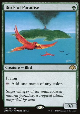 【ENG】《天堂鳥/Birds of Paradise》[多明納里亞：重製版]
