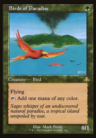 【ENG】《天堂鳥/Birds of Paradise》[多明納里亞：重製版]