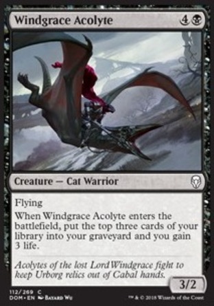 【JPN】《風華侍僧/Windgrace Acolyte》[多明納里亞]