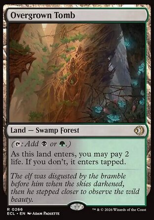 【ENG】《蔓生墓園/Overgrown Tomb》[洛溫：闇影籠罩]