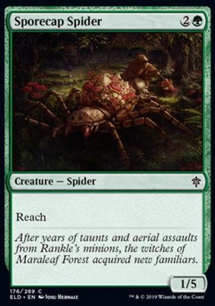【JPN】《菇頂蜘蛛/Sporecap Spider》[艾卓王權]