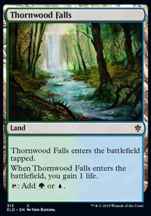 【JPN】《棘林瀑布/Thornwood Falls》[艾卓王權]