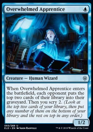 【JPN】《過負學徒/Overwhelmed Apprentice》[艾卓王權]