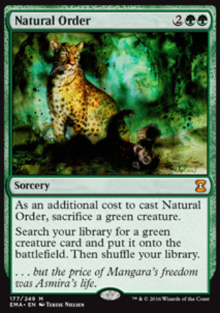 【JPN】《自然秩序/Natural Order》[經典大師]