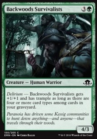【JPN】《蠻荒林求生家/Backwoods Survivalists》[異月傳奇]